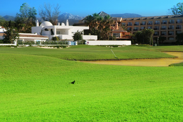 Green golf field on the sunny coast of Mediterranean sea