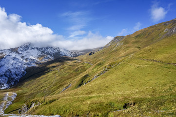 Fototapeta na wymiar Stunning landscape of green grass Alp mountains with sun shine in daylight autumn, Switzerland