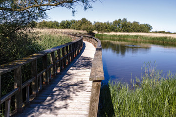 Fototapeta premium Puente de madera