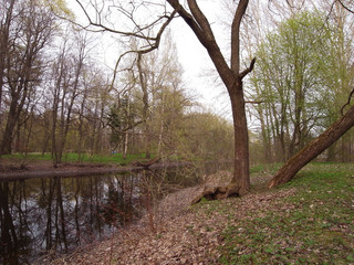 Fototapeta premium Rest in the park. Spring in the park.