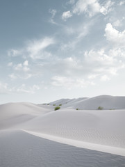 view of nice sands dunes at Sands Dunes National Park