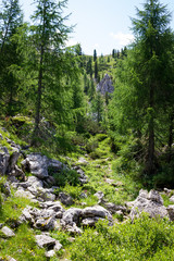 Mountain Trails Three Peaks Lavaredo