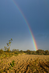 The Rainbow after the storm in Tuscany