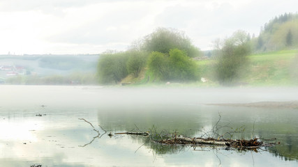 Fog in Leinøra nature reserve at the river Gaula, Trondheim, Norway. 