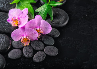 Fototapeta na wymiar top view of beautiful spa concept of blooming twig lilac orchid flower, green leaves with water drops and zen basalt stones, close up