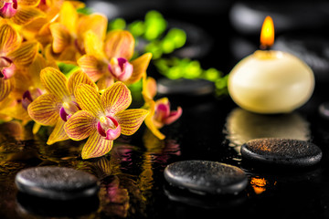 Obraz na płótnie Canvas beautiful spa composition of blooming twig orange orchid flower, green foliage with water drops, candle and zen basalt stones, close up
