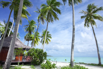 Fototapeta na wymiar view of nice exotic huts on tropical beach