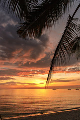 Sonnenuntergang Palmen