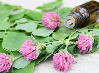 flacons d'huile essentielle de fleur de trèfle rouge sur fond bois