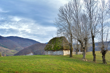 Old houses in the Transylvanian villages (landscape)