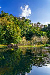 Fototapeta na wymiar lake, jungle, swamp