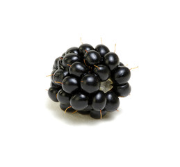  Ripe blackberries isolated on white background