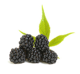 Blackberries with leaves