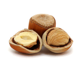 Closeup of hazelnuts