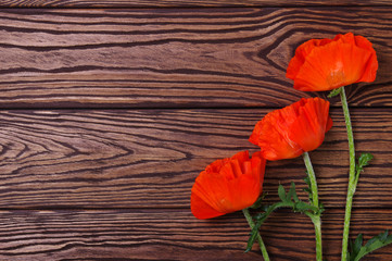 Fototapeta na wymiar Red poppy on wood