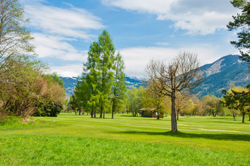 Fototapeta na wymiar Beautiful golf course Zell am See
