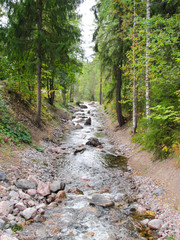 rocky shore river