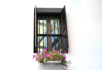 Fototapeta na wymiar Classic window with Petunia pot on white wall