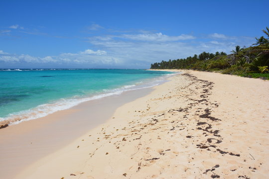 Plage De Marie Galante