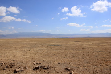African wildlife, Tanzania, Ngorongoro Conservation Area