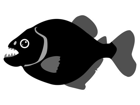 black piranha fish with sharp teeth clip art preview