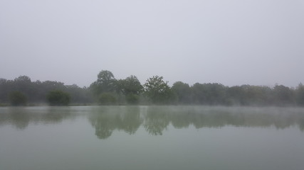 étang sous la brume