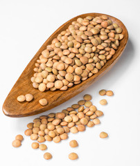 uncooked lentils on white, (large depth of field, taken with tilt shift lens)