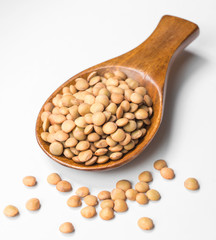 uncooked lentils on white, (large depth of field, taken with tilt shift lens)