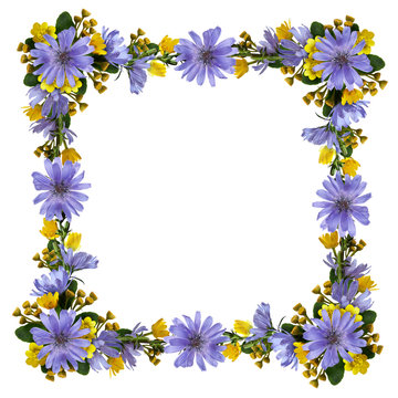 Wild flowers in a frame