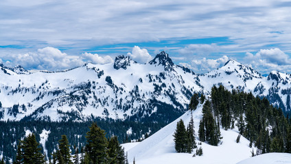 Fototapeta premium Mt. Rainier National Park