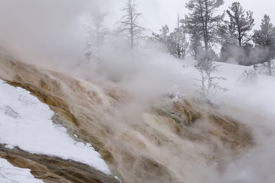 Mammoth Hot Springs, Winter, Yellowstone NP