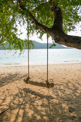 Wooden swing under tree on beach