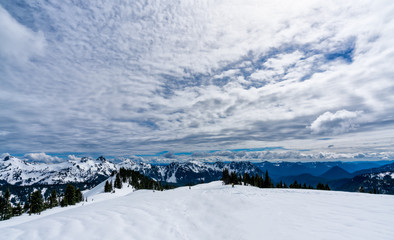 Fototapeta na wymiar Mt. Rainier National Park