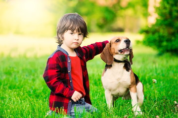  Boy, dog, garden, serious