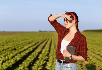 Female farmer standing in a field with tablet and examining crop.