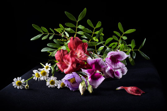 A bouquet of flowers on a black background