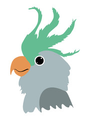 parrot