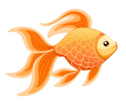 Vector illustration isolated on background Goldfish aquarium fish silhouette illustration. Colorful cartoon flat aquarium fish icon for your design.