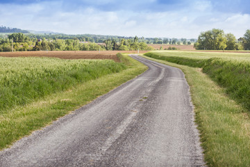 ground road through spring fields