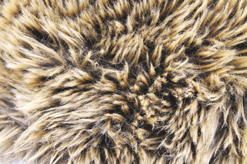 Red Brown Gray Wolf, Fox, Bear, Natural, The concept and style of wildlife animals for backgrounds, textures and wallpapers. Artificial fur for the protection of nature