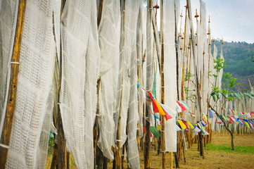 Buddhist praying flags tibetan style in Bhutan with mantras for your background