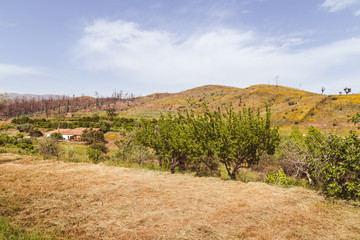 Landscape Monchique mountains in the Algarve in Portugal