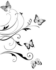 Vector Floral Swirls