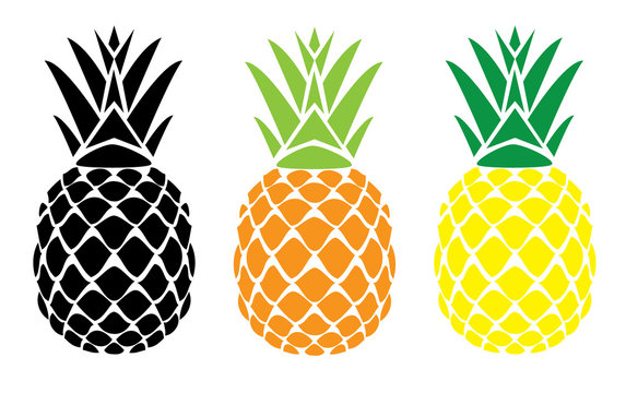 vector pineapple fruit