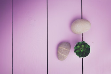 Flat lay stones and plant on the white background