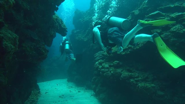2 Scuba Divers swimming through deep valley and coral reef