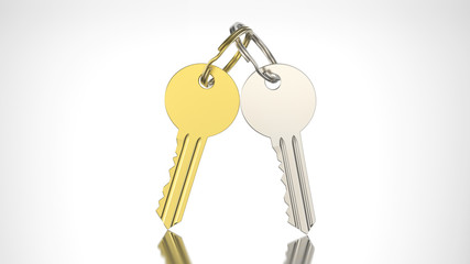 3D illustration gold and silver key with keychain