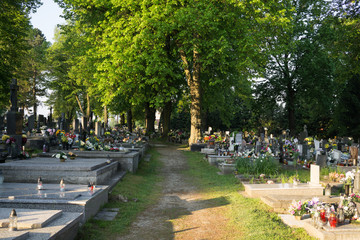 Cemetery during sunny morning. Slovakia