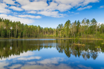 Obraz premium Clouds are reflected in the forest lake. Spring landscape. Masuria, Poland.