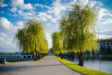 beautiful alley paved with paving stones on the lake. landscape design territory